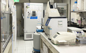 Cell Biology Laboratory