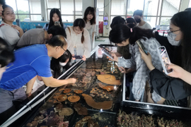 2026海洋生物學與實習-屏東國立海洋生物博物館移地教學圖片